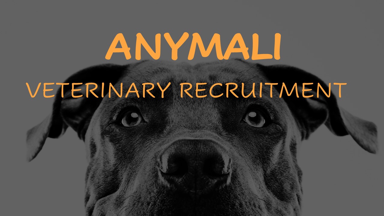Veterinary recruitment